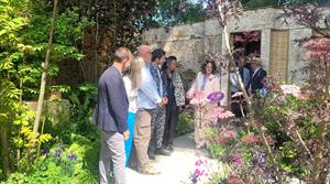 The Avanade Intelligent Garden at Chelsea Flower Show 2025 - Credit: The Outdoor Room 